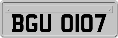 BGU0107
