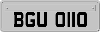 BGU0110