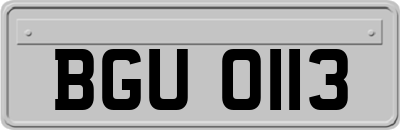 BGU0113