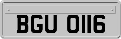 BGU0116