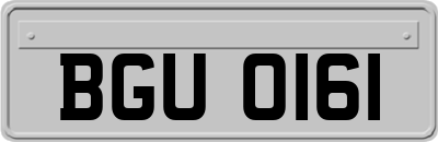BGU0161