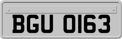 BGU0163