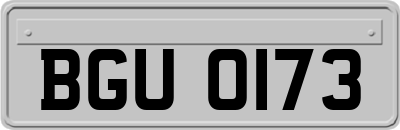 BGU0173
