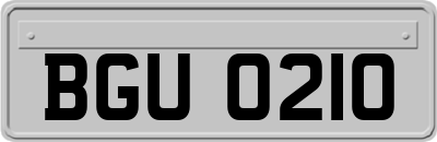 BGU0210
