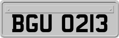 BGU0213