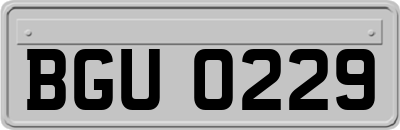 BGU0229