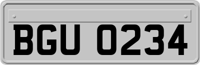 BGU0234