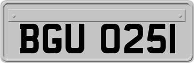 BGU0251