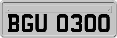 BGU0300