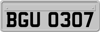 BGU0307