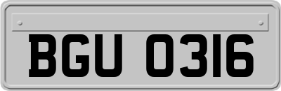 BGU0316