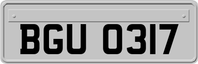 BGU0317