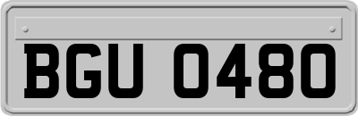 BGU0480