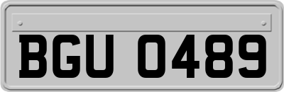 BGU0489