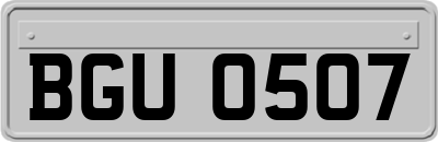 BGU0507