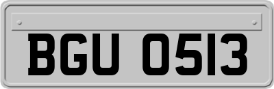 BGU0513