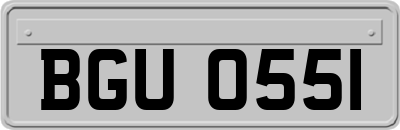 BGU0551