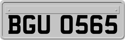 BGU0565