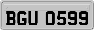 BGU0599