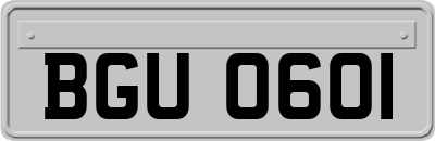 BGU0601