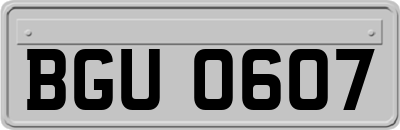 BGU0607