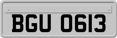 BGU0613
