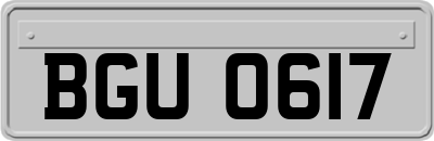 BGU0617