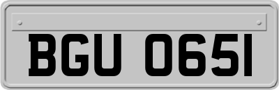 BGU0651