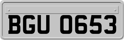 BGU0653