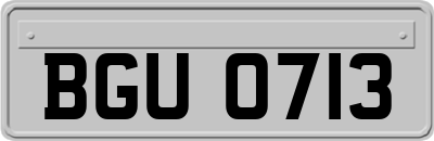 BGU0713