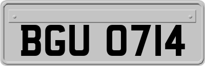 BGU0714