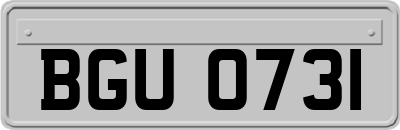 BGU0731