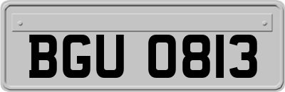 BGU0813