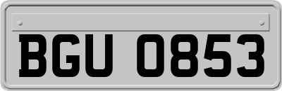 BGU0853