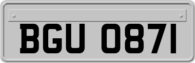BGU0871