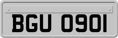 BGU0901