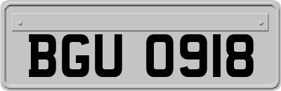 BGU0918