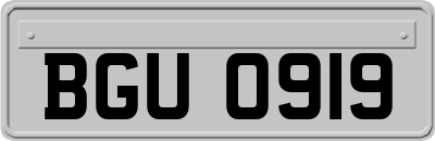 BGU0919