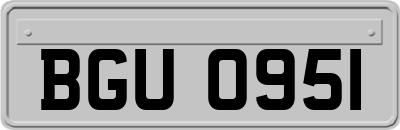 BGU0951