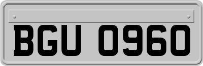 BGU0960