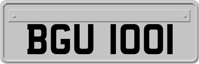 BGU1001