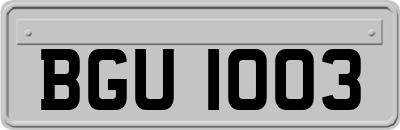 BGU1003