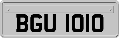 BGU1010