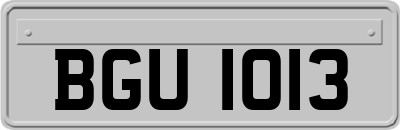 BGU1013