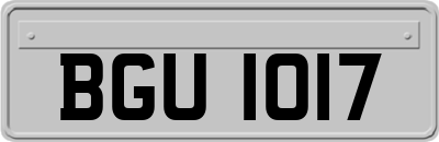 BGU1017