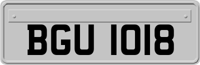 BGU1018