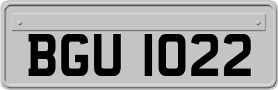 BGU1022