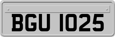BGU1025