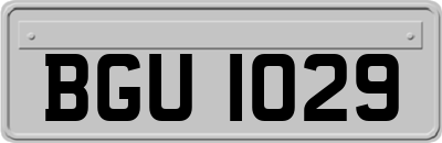 BGU1029