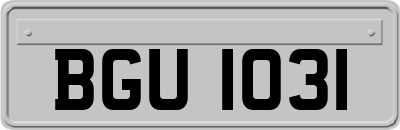 BGU1031